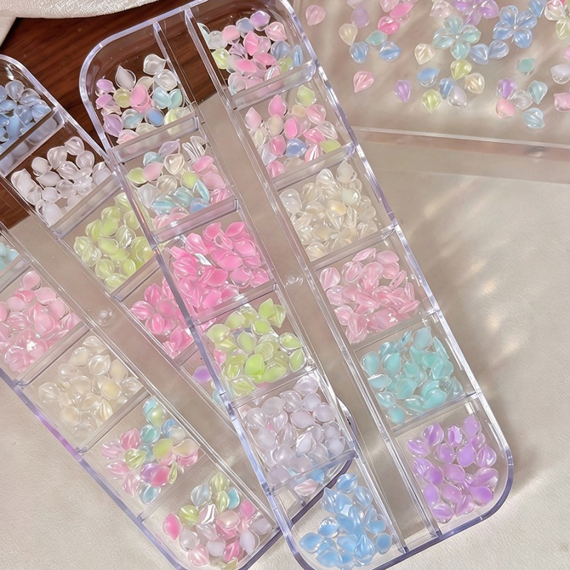 D309 12 Grids Transparent Flower Nail Charms