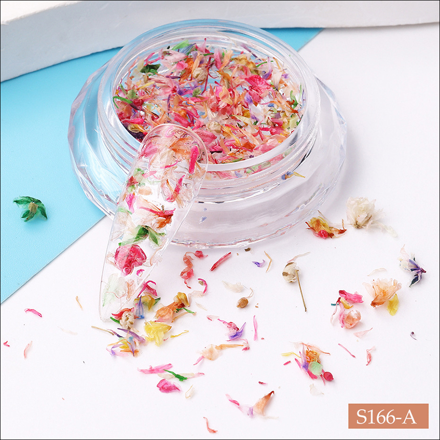 rndf-27 smint mixed color dry flower crush