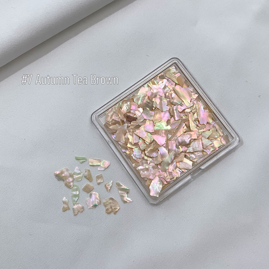 d305 不规则幻彩贝壳片