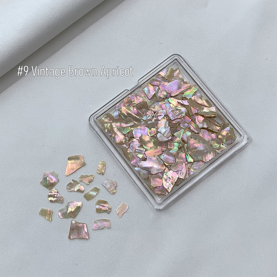 d305 不规则幻彩贝壳片