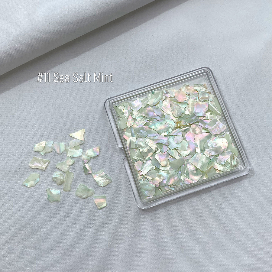 d305 不规则幻彩贝壳片