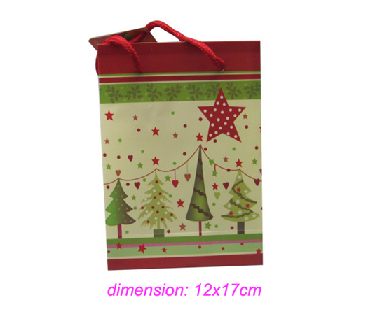 rngb-01 gift bag-01