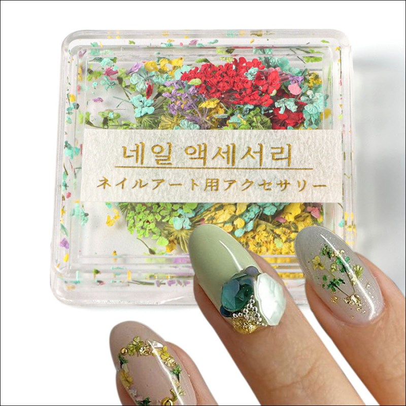 rndf-26 new japanese nail dry flower