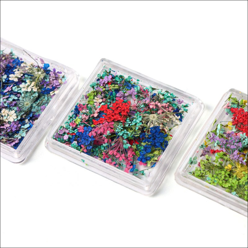 rndf-26 new japanese nail dry flower
