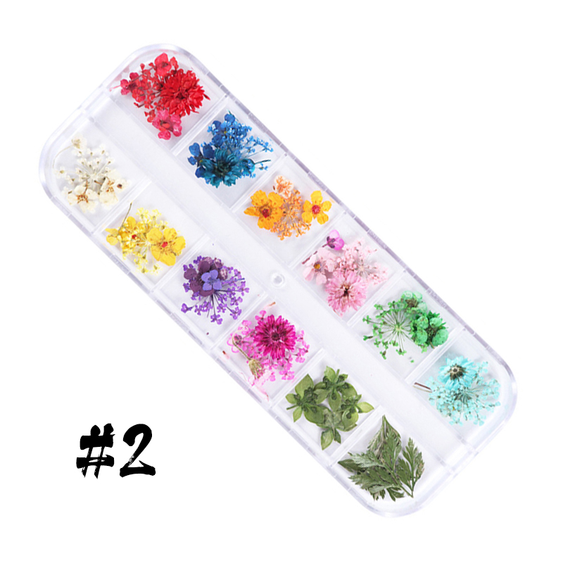 12格干花套装-3